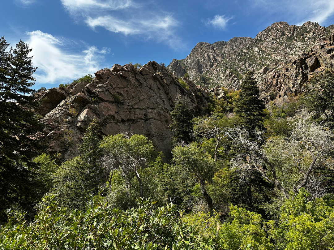 Red River Adventures-莫阿布必去景点