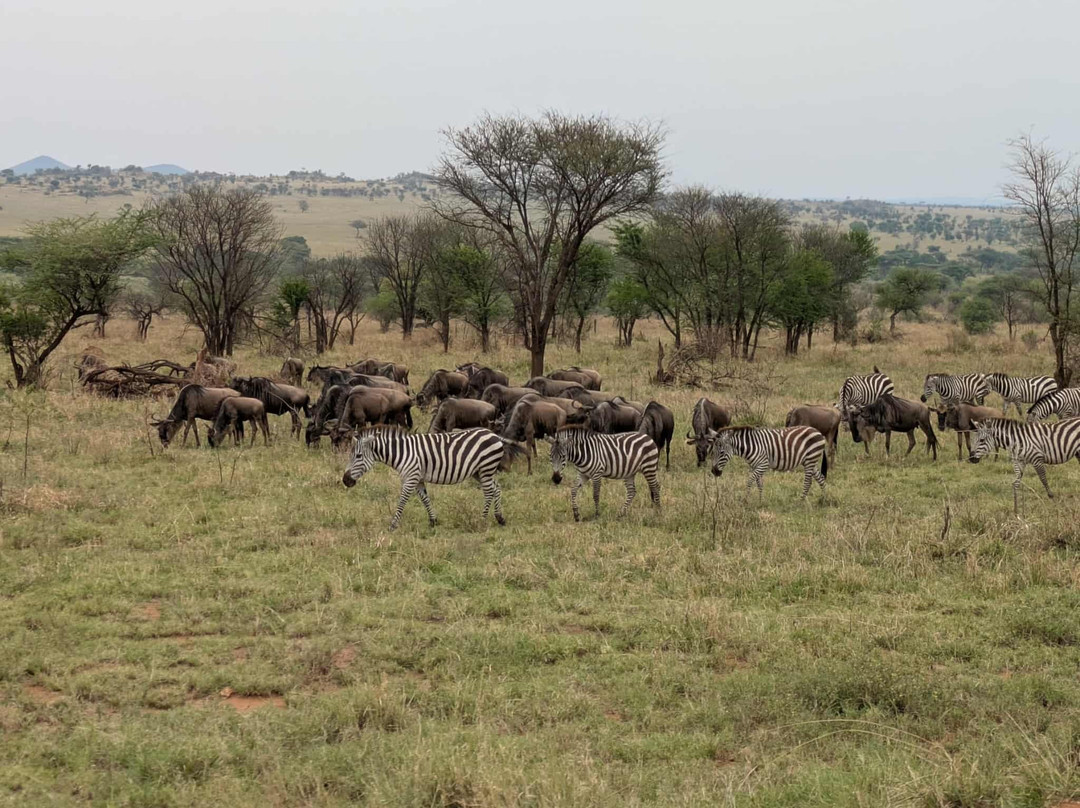 Winrica Adventures-莫西必去景点