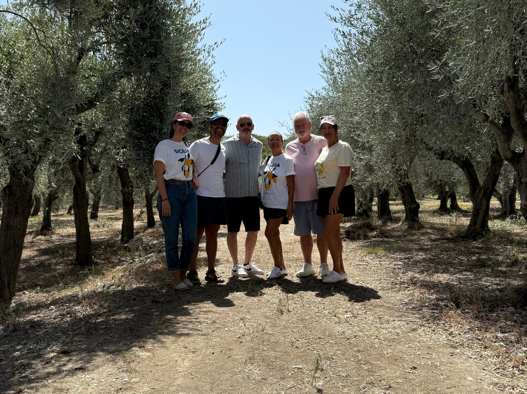 Sicily Blues Tours - Day Tours-阿格里真托必去景点