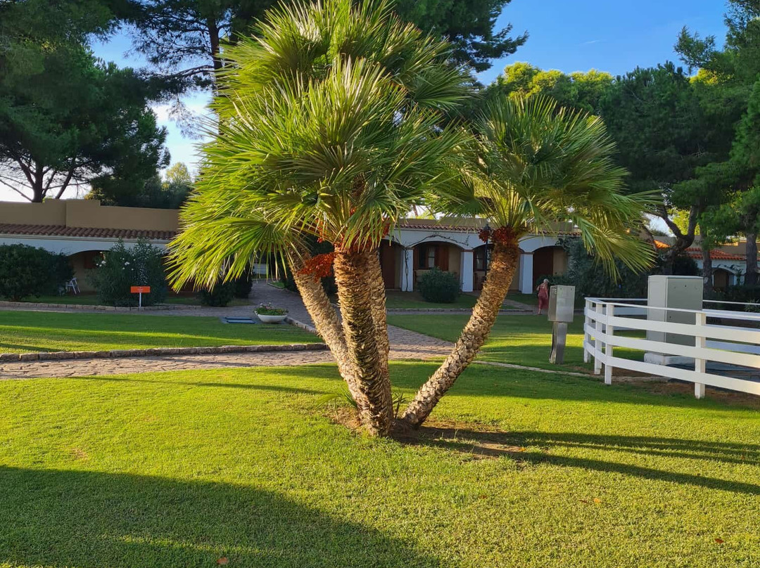 Bravo Porto Pino主图