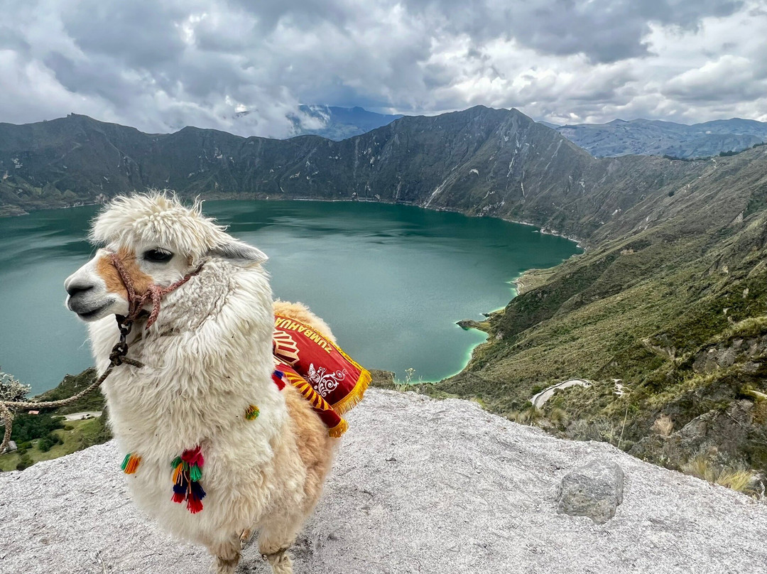 Santy_travelmaker-基多必去景点