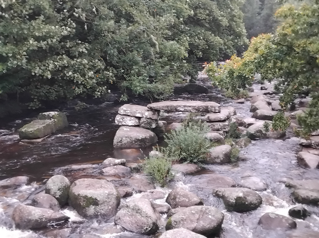 Dartmeet River Junction-Dartmeet必去景点