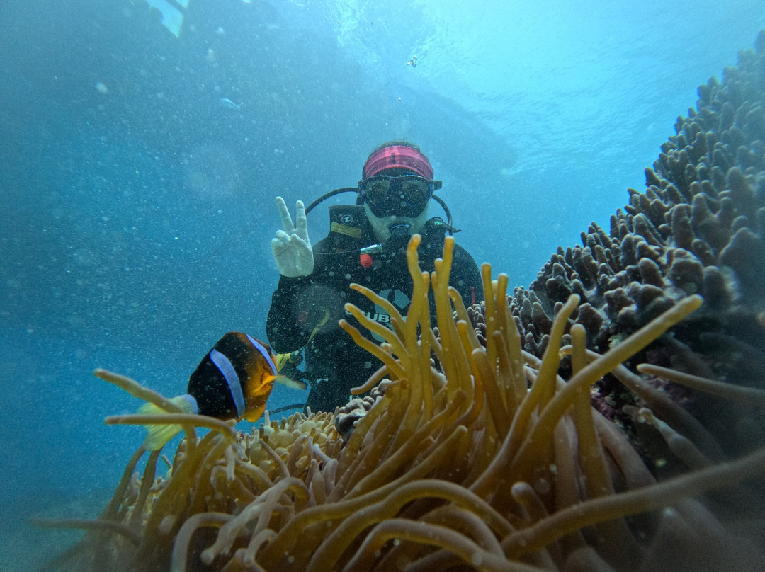 Bali Hai Diving Adventures-蓝梦岛必去景点