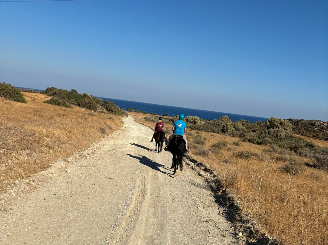 A&E Elpida Ranch-罗德城必去景点