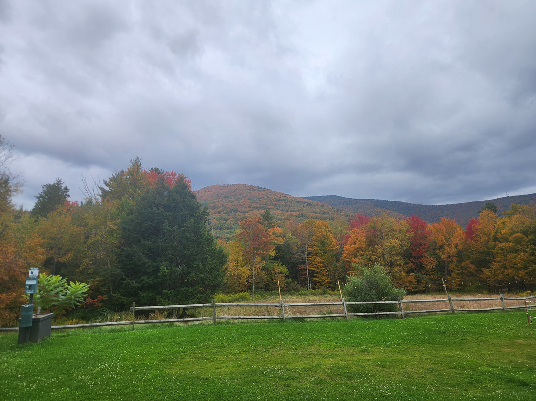 Hunter Lodge, a Bluebird by Lark主图