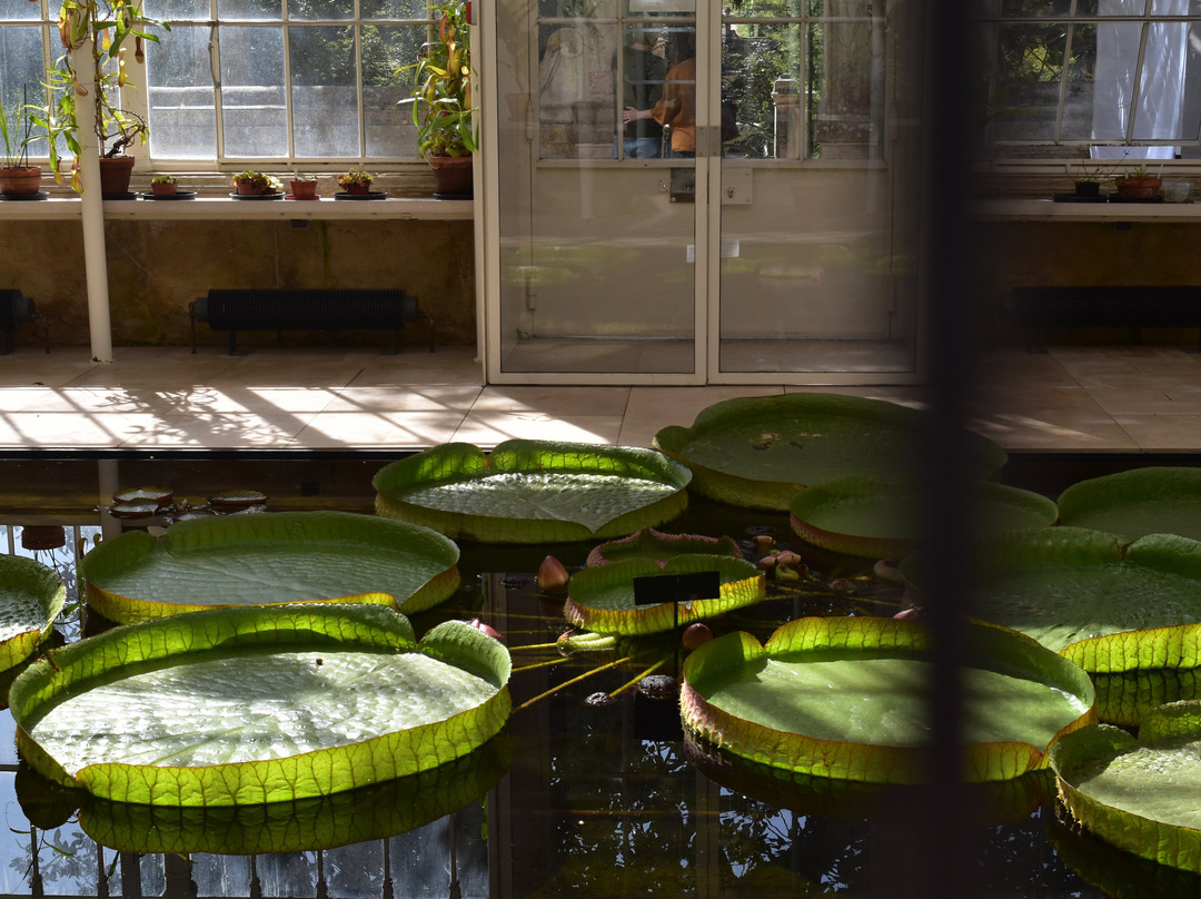 Jardim Botanico-科英布拉区必去景点