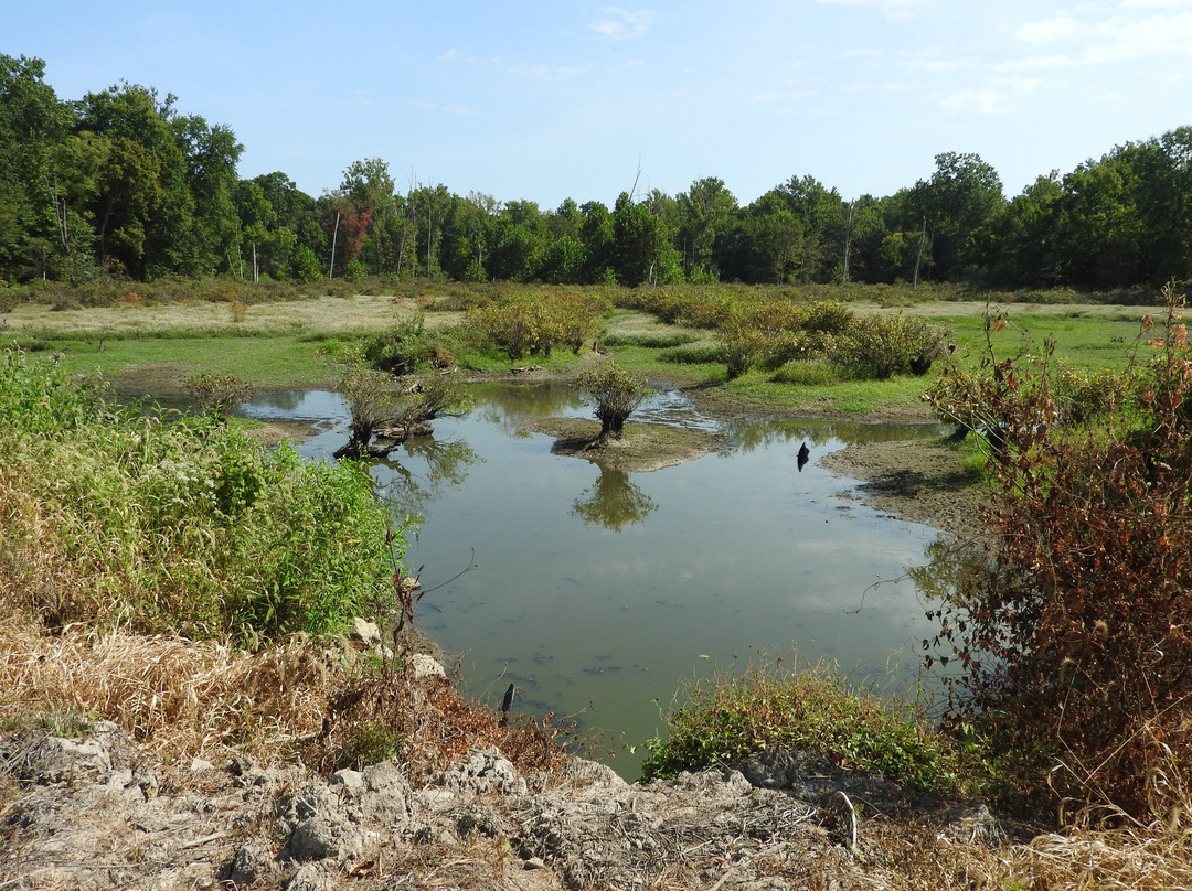 Crab Orchard National Wildlife Refuge-Marion必去景点