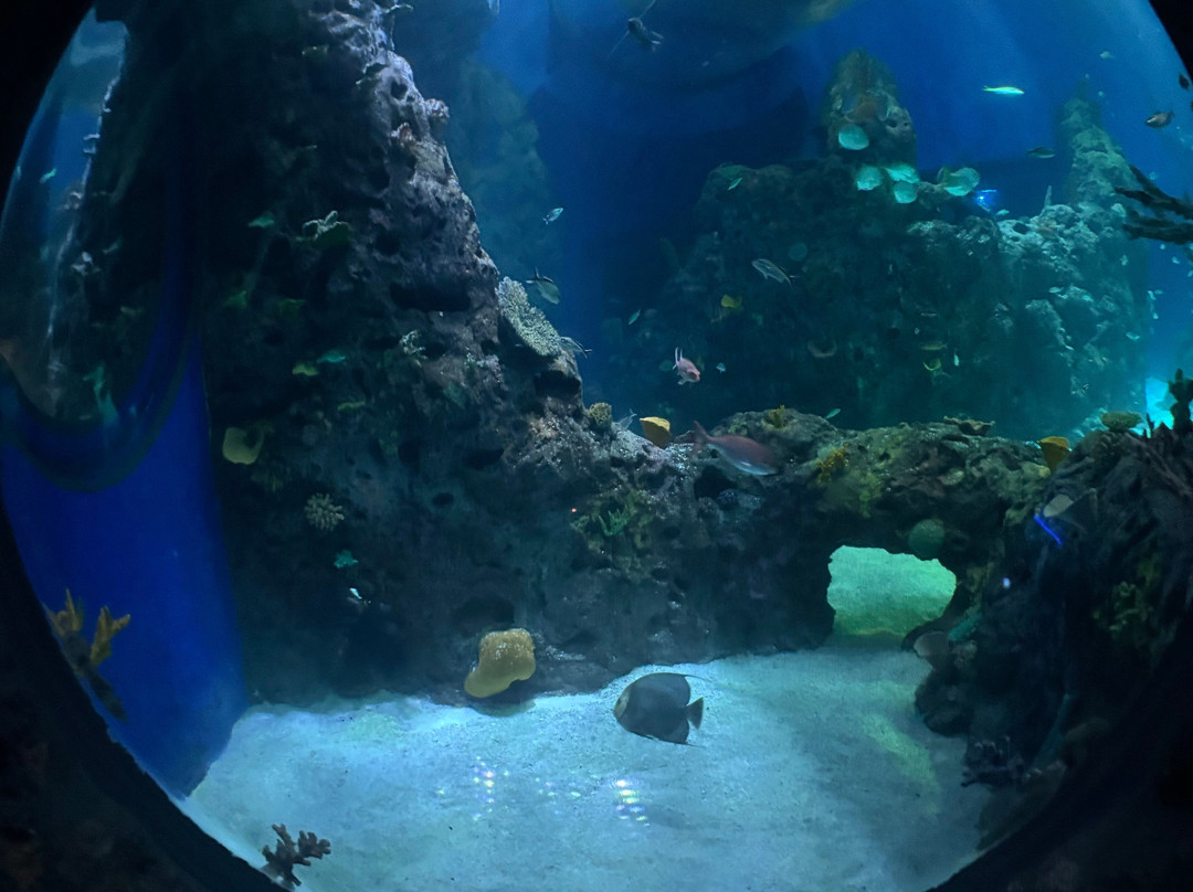 Mississippi Aquarium-格尔夫波特必去景点