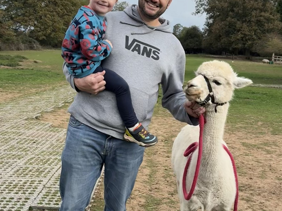 Lucky Tails Alpaca Farm-Atherstone必去景点