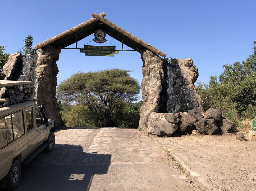 Lake Manyara-Lake Manyara National Park必去景点