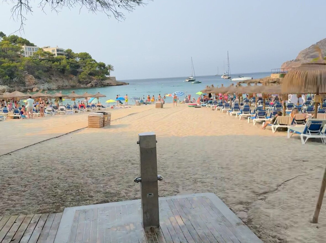 Camp de Mar Beach-Camp De Mar必去景点