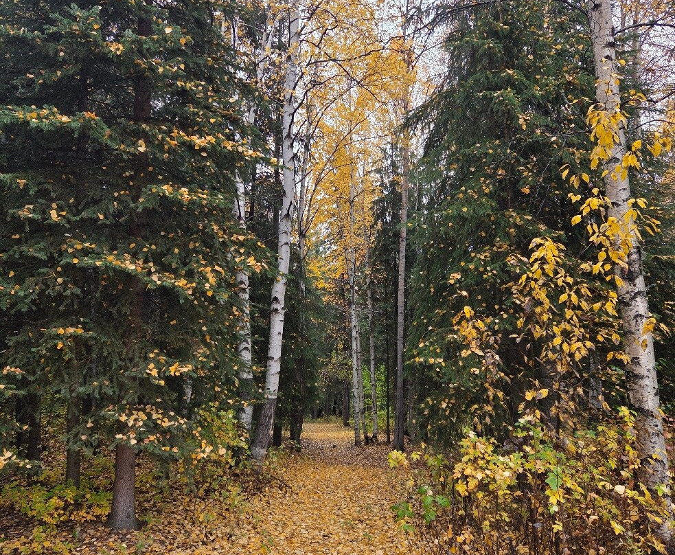 5th Avenue Park-北极必去景点