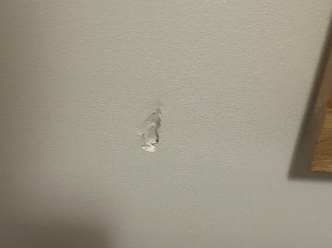 Quality Hotel Sherbourne Terrace主图