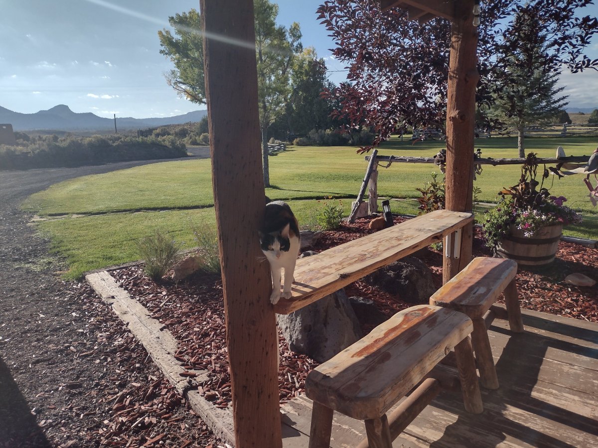 Cottonwood Meadow Lodge-官方