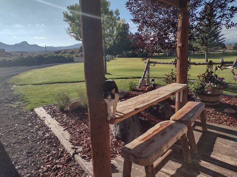 Cottonwood Meadow Lodge主图