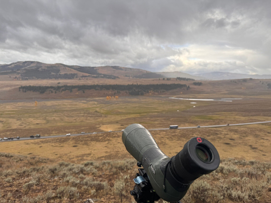 Yellowstone Wild-加德纳必去景点