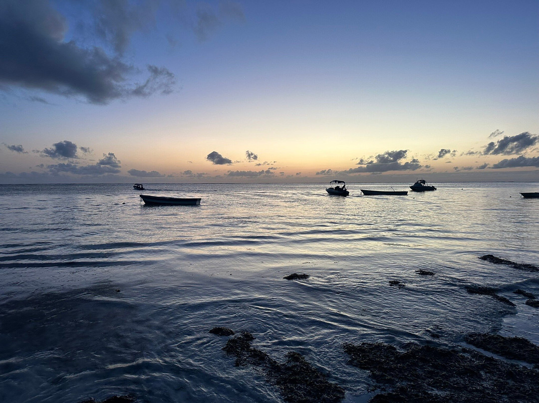 Panamwe Tours & safaris-Pwani Mchangani必去景点