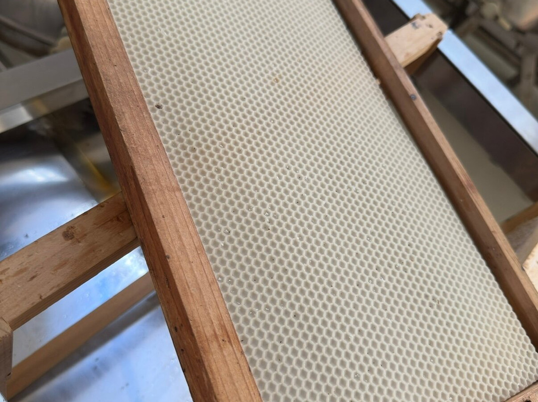 Melissokomikí Kérkyras Vasilákis-Vatos必去景点