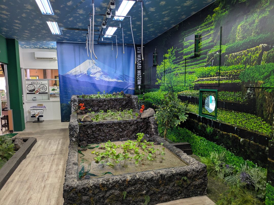 Wasabi Museum Izu