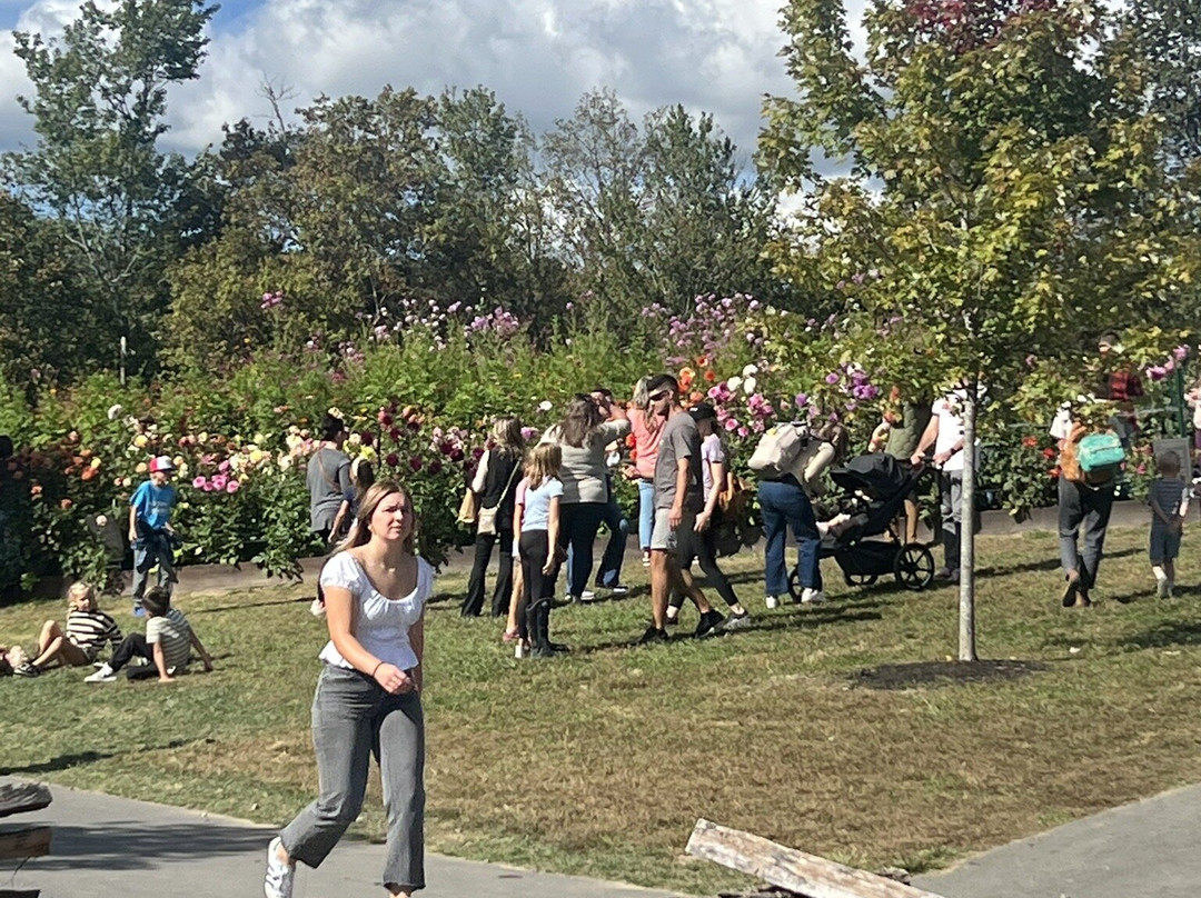 Jeter Mountain Farm-亨德森维尔必去景点