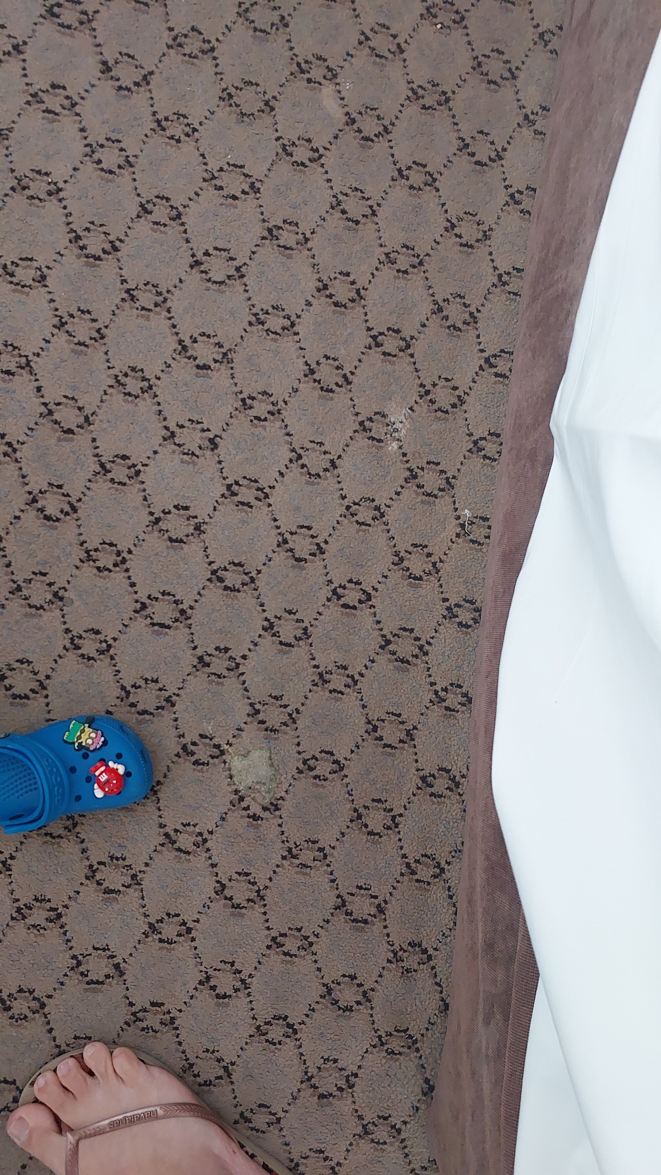 死海莱昂纳多酒店-官方