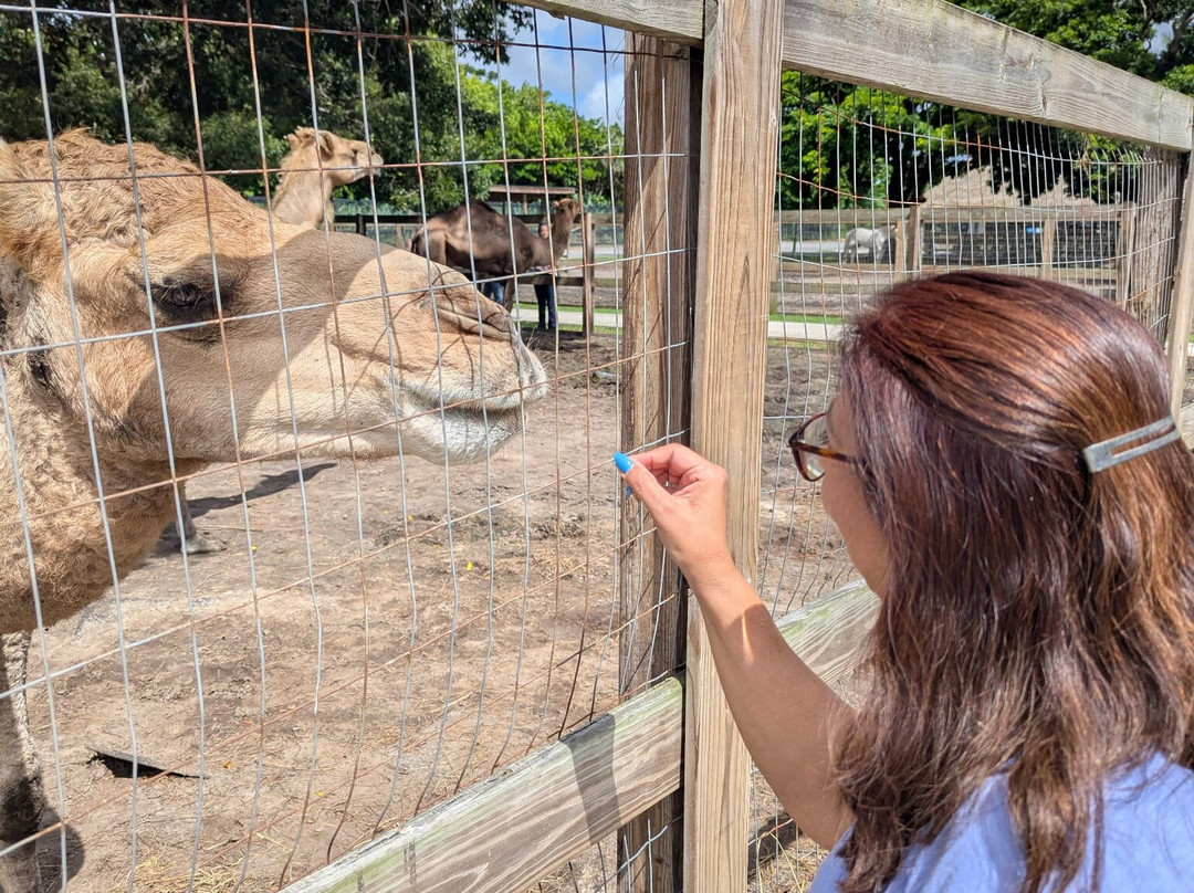 Animal EDventure Park & Safari-博因顿海滩必去景点