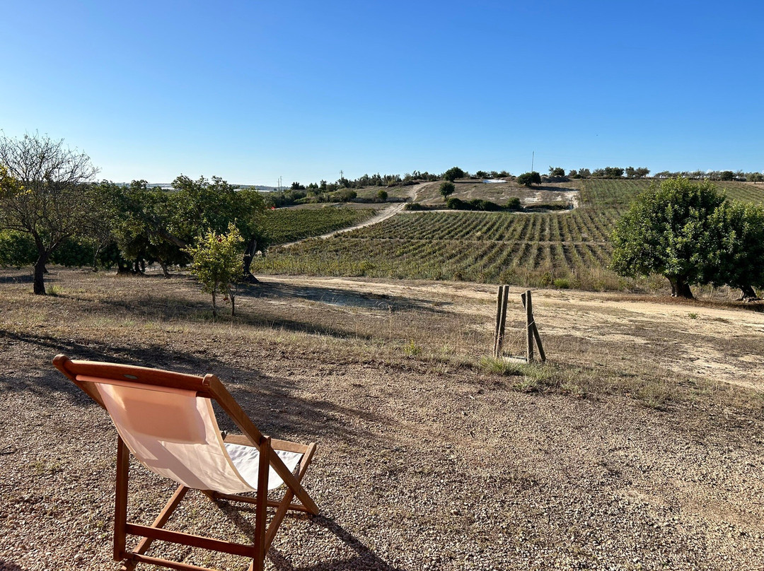 Planeta, Tenuta Buonivini - Noto-诺托必去景点