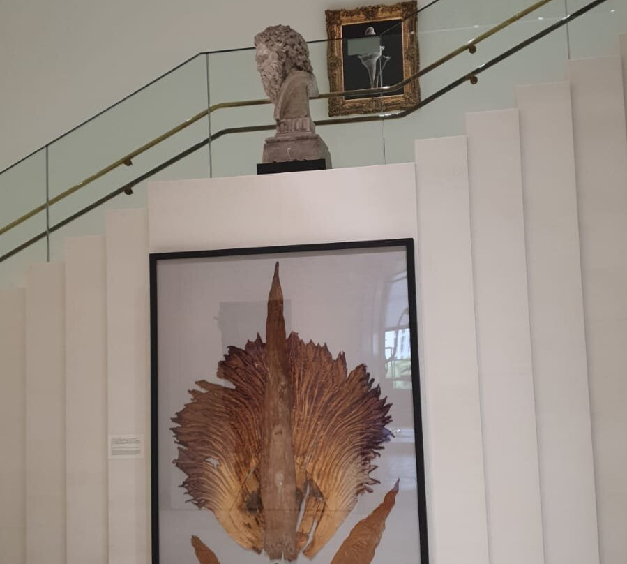 JP Tower Museum Intermediatheque-Marunouchi必去景点