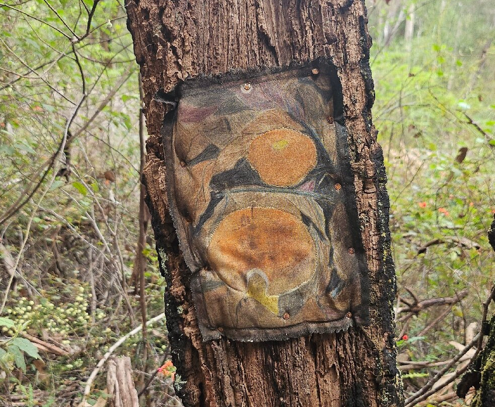 Understory Art & Nature-Northcliffe必去景点