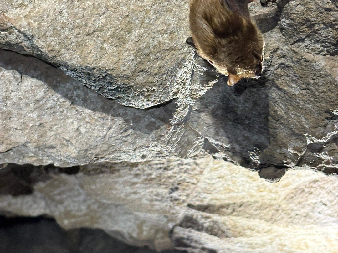 Adventure Mining Company-Greenland必去景点