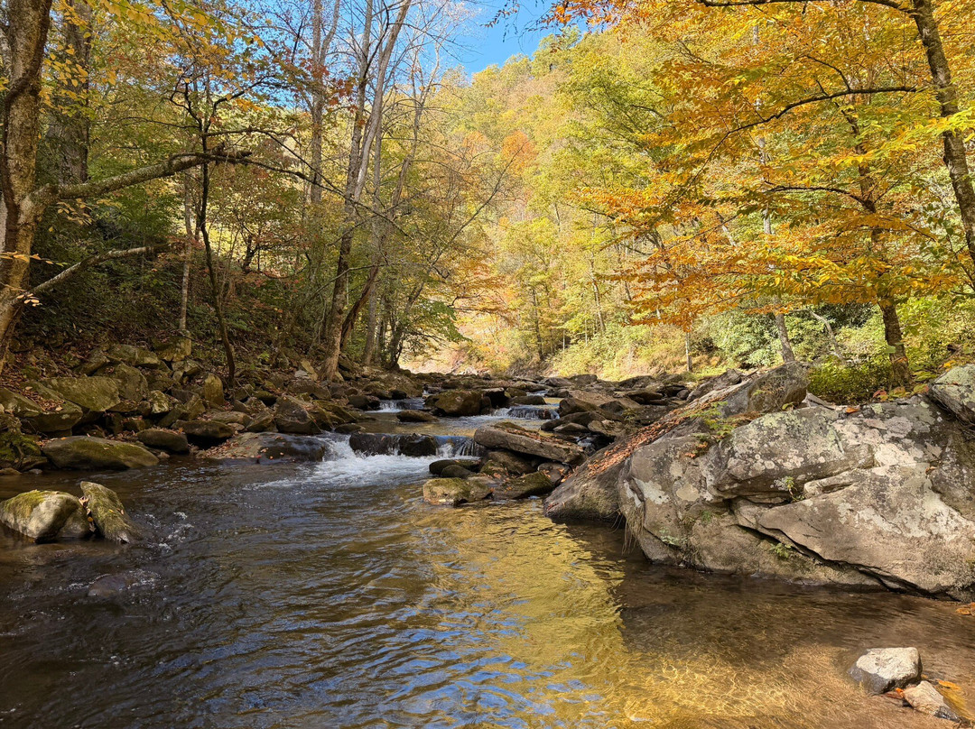 Brookings Anglers-Cashiers必去景点