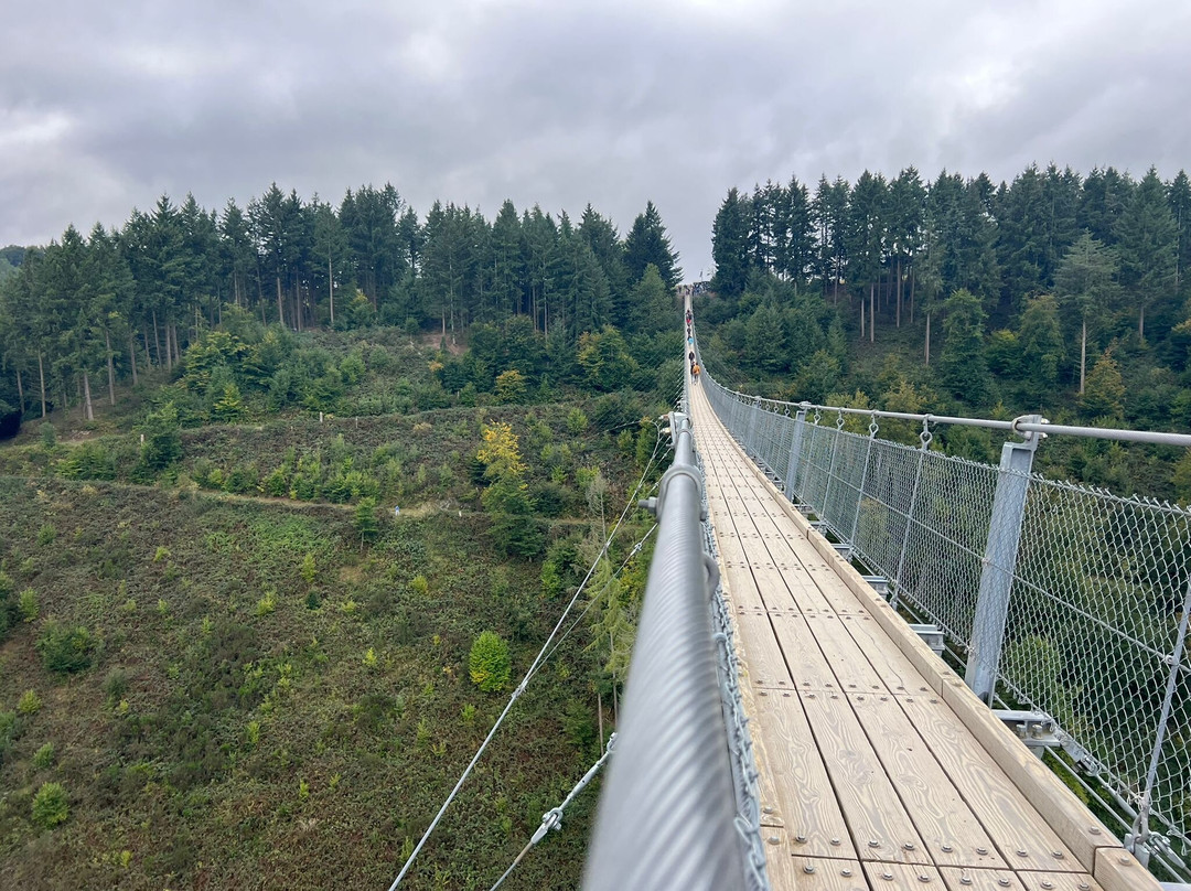 Hangeseilbrucke Geierlay-Moersdorf必去景点