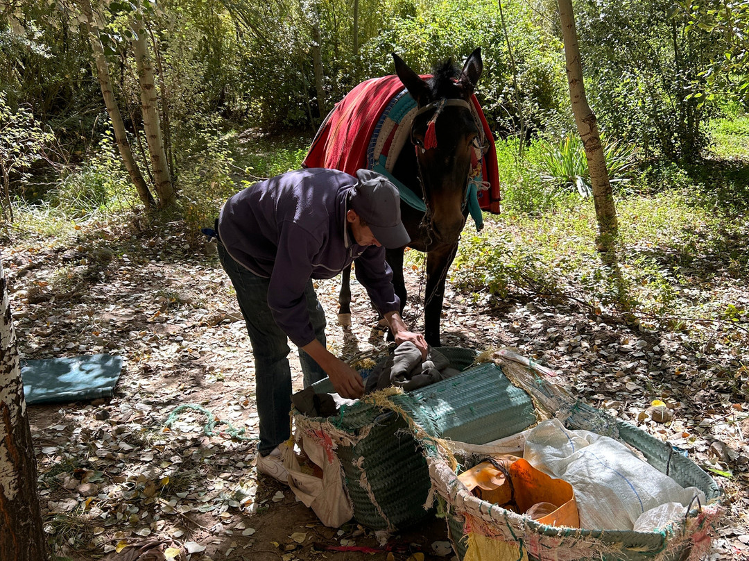 Sahara viajes marruecos-丹吉尔必去景点