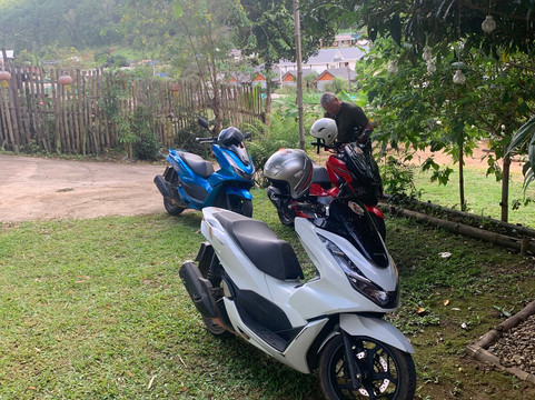 Big Dog Scooter Rental-清迈必去景点