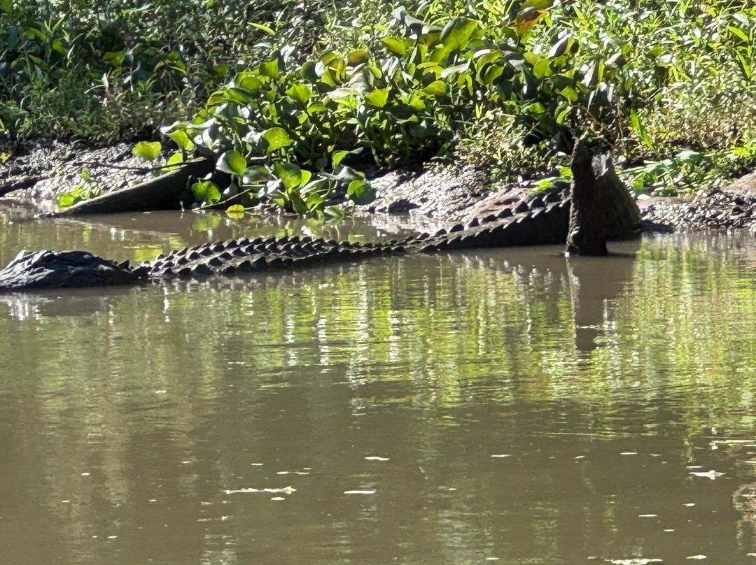 Cajun Customized Excursions-Arnaudville必去景点
