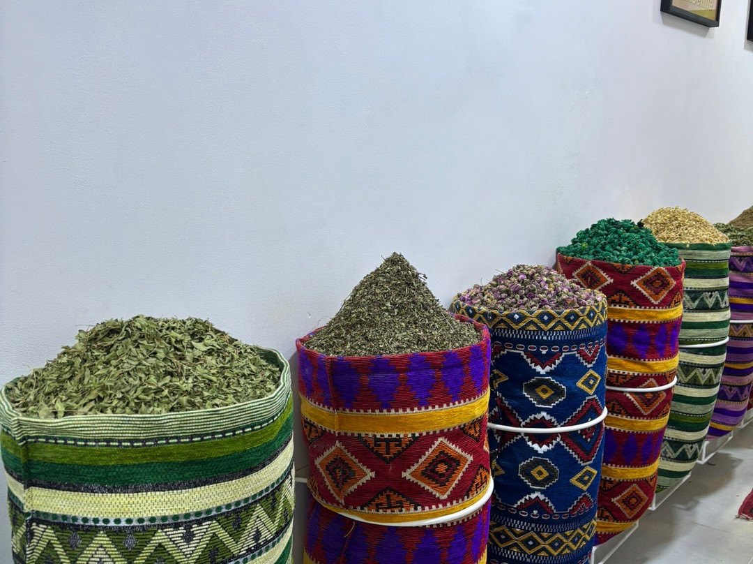 Herbalism Marrakech-马拉喀什必去景点