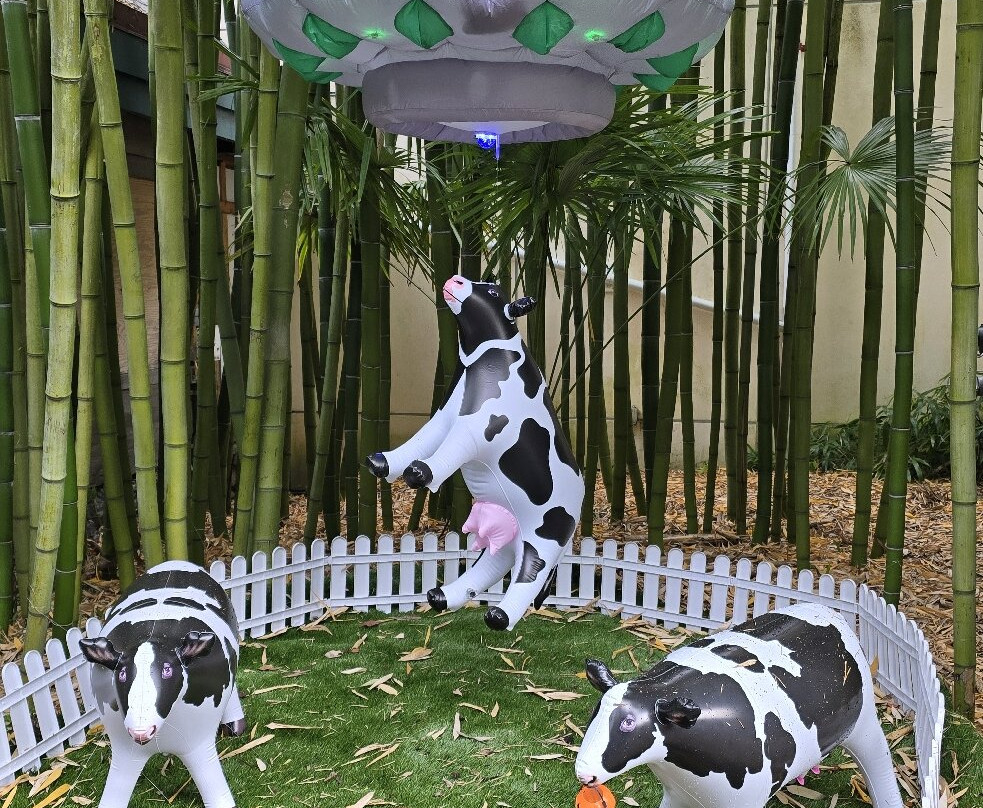 Point Defiance Zoo & Aquarium-塔科马必去景点