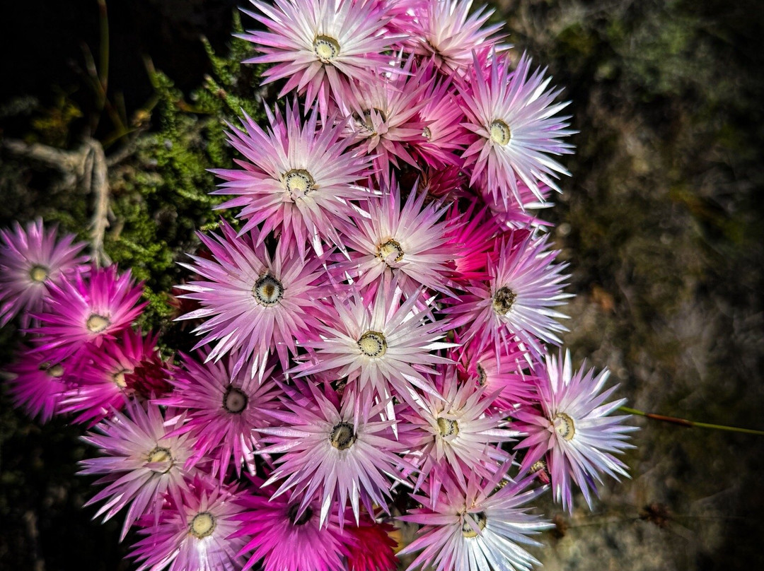 Green Mountain Trail-Elgin必去景点