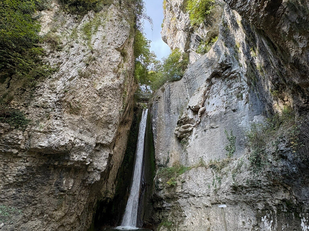 Parco delle Cascate di Molina-Molina必去景点