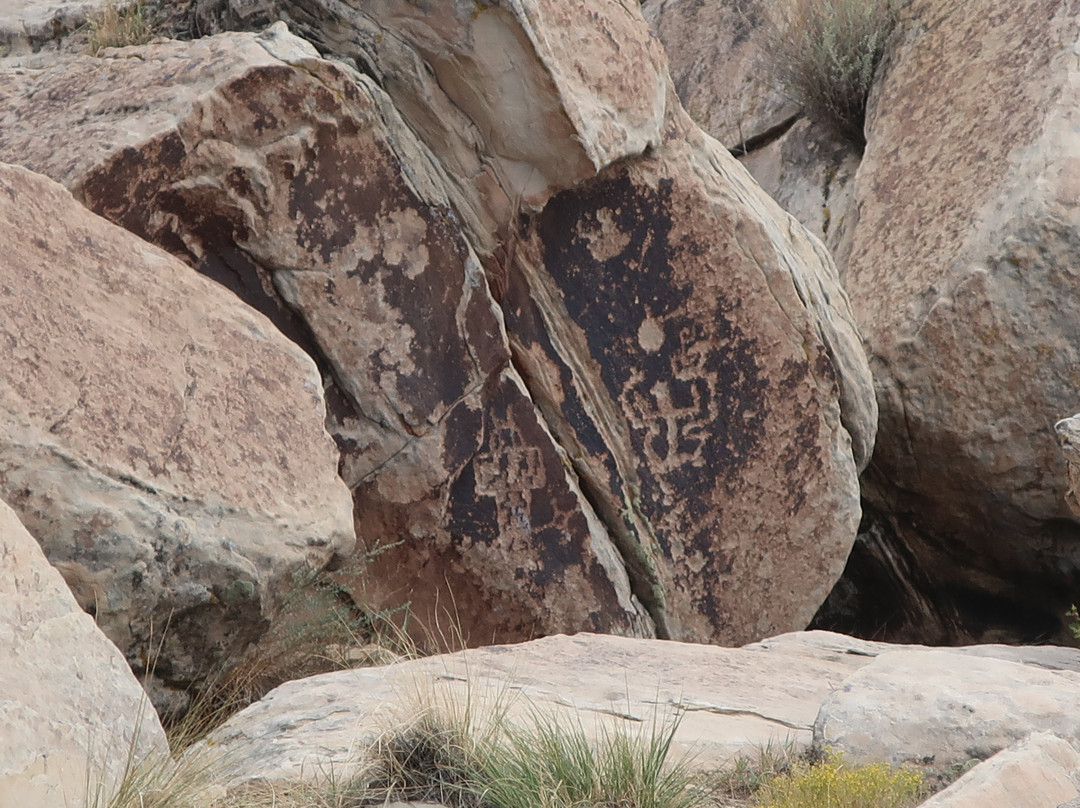 Petrified Forest National Park-霍尔布鲁克必去景点