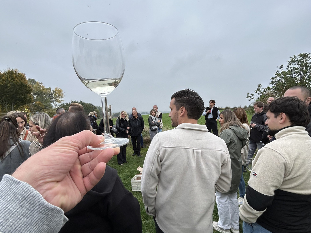 Brut Wines & Tours-Bilzen必去景点