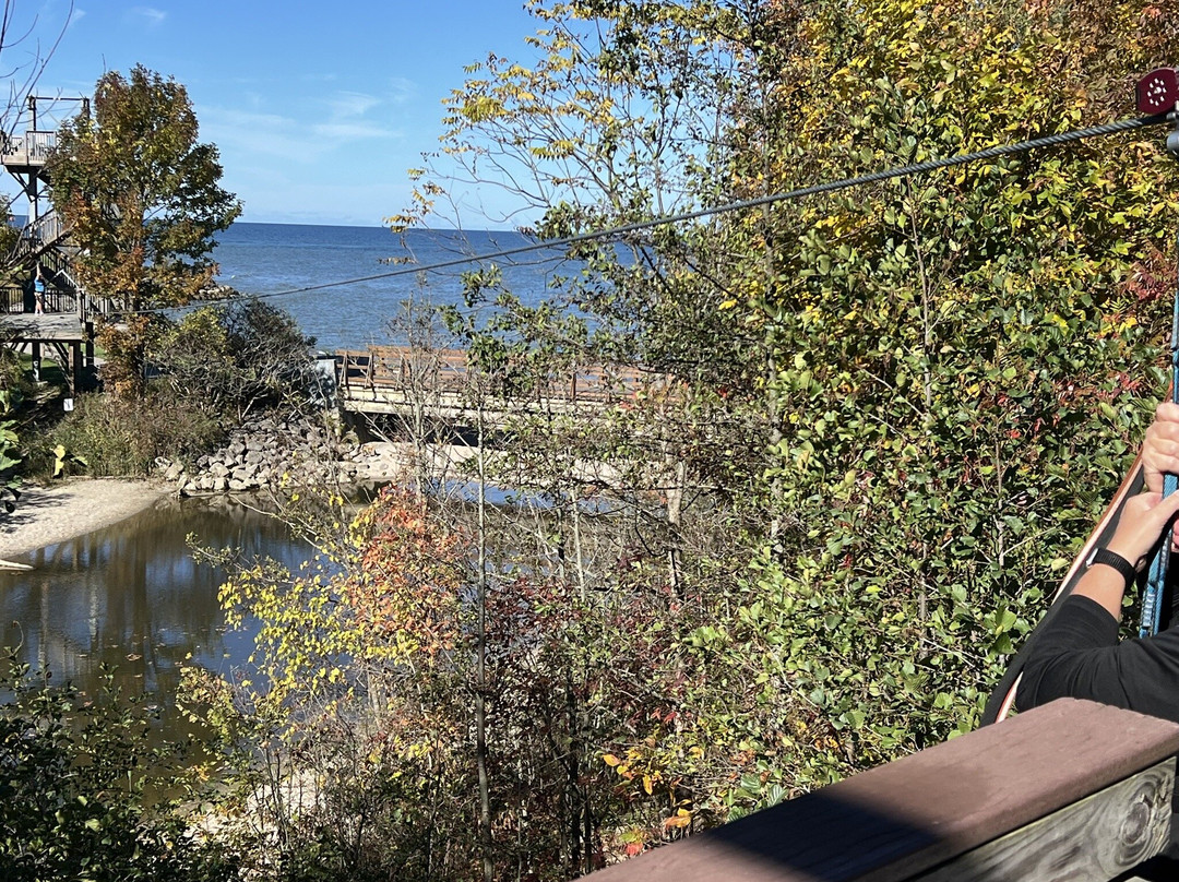 Lake Erie Canopy Tours-Geneva必去景点