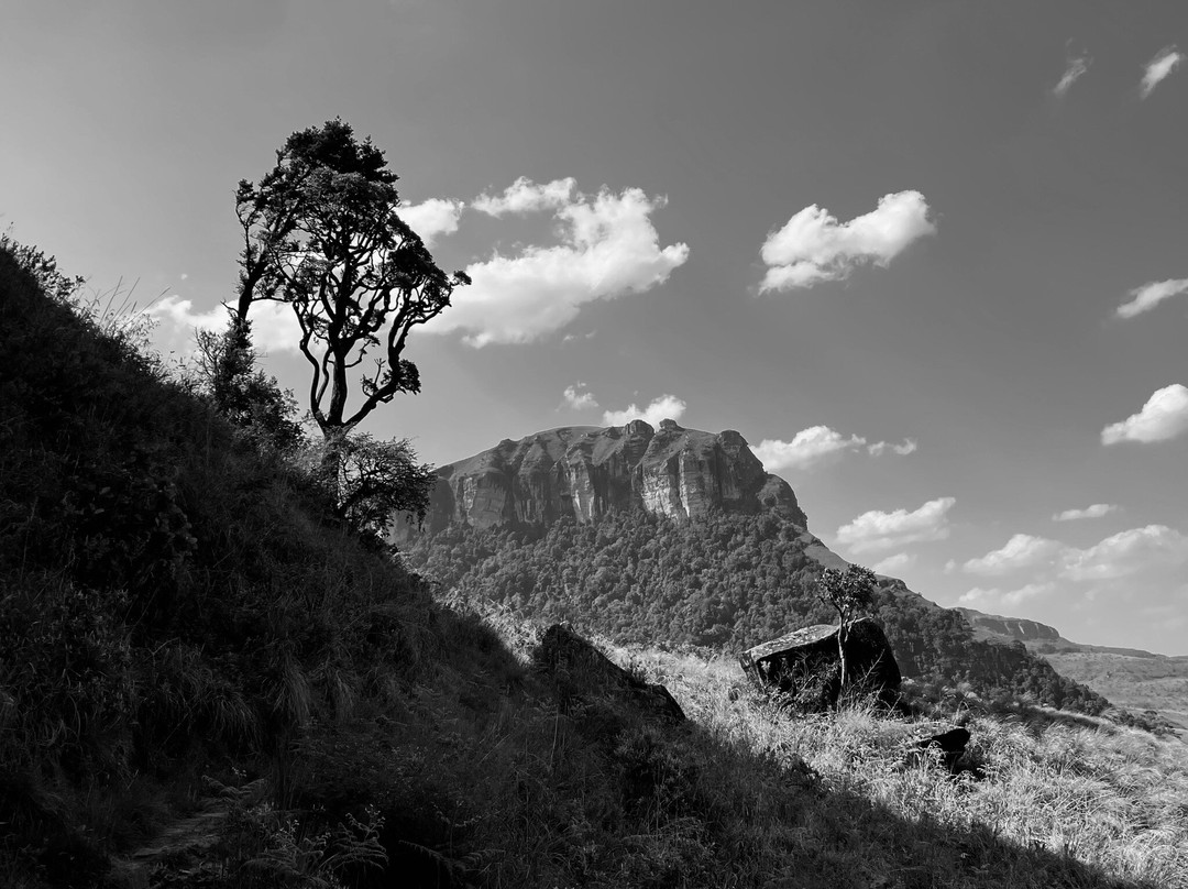 Thendele Hutted camp主图