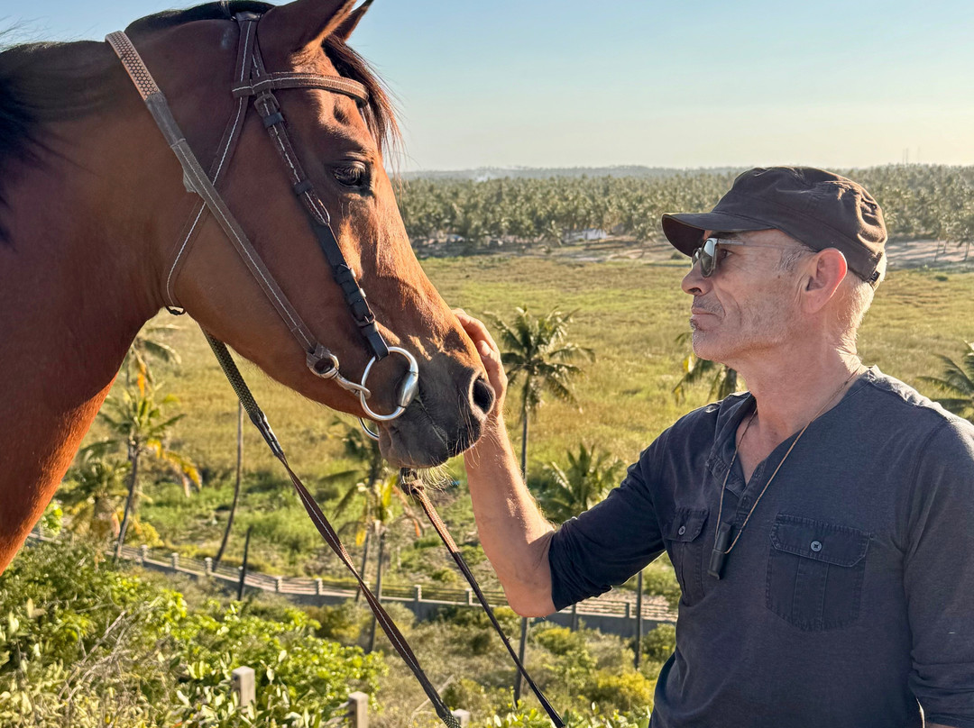 Cavalheiros Do Tofo-托佛必去景点