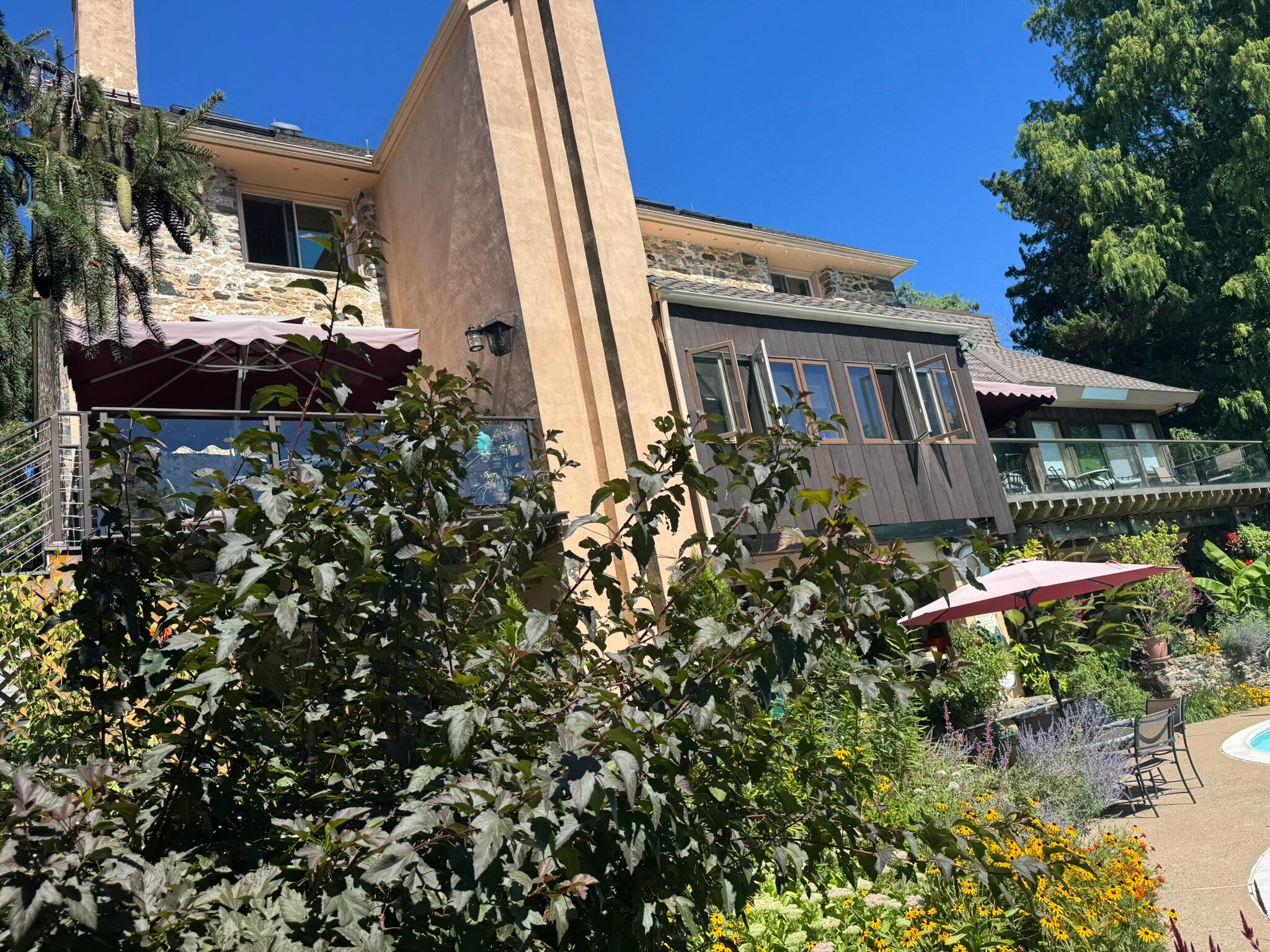 Alpenhof Bed & Breakfast-泳池