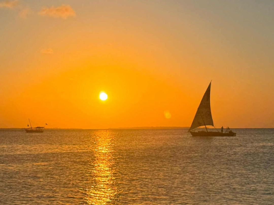 Massa Junior Zanzibar Tours & Safaris-Chwaka必去景点