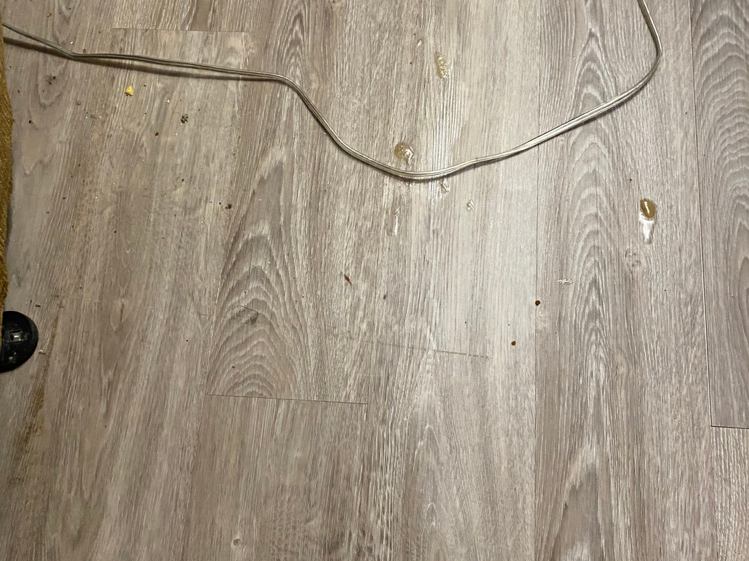 Days Inn by Wyndham Hampton主图