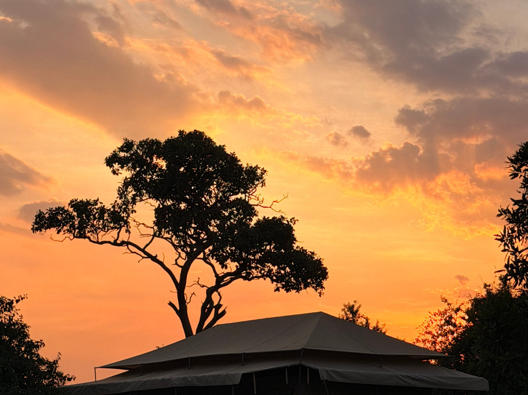 Sero Tented Camp-Seronera必去景点