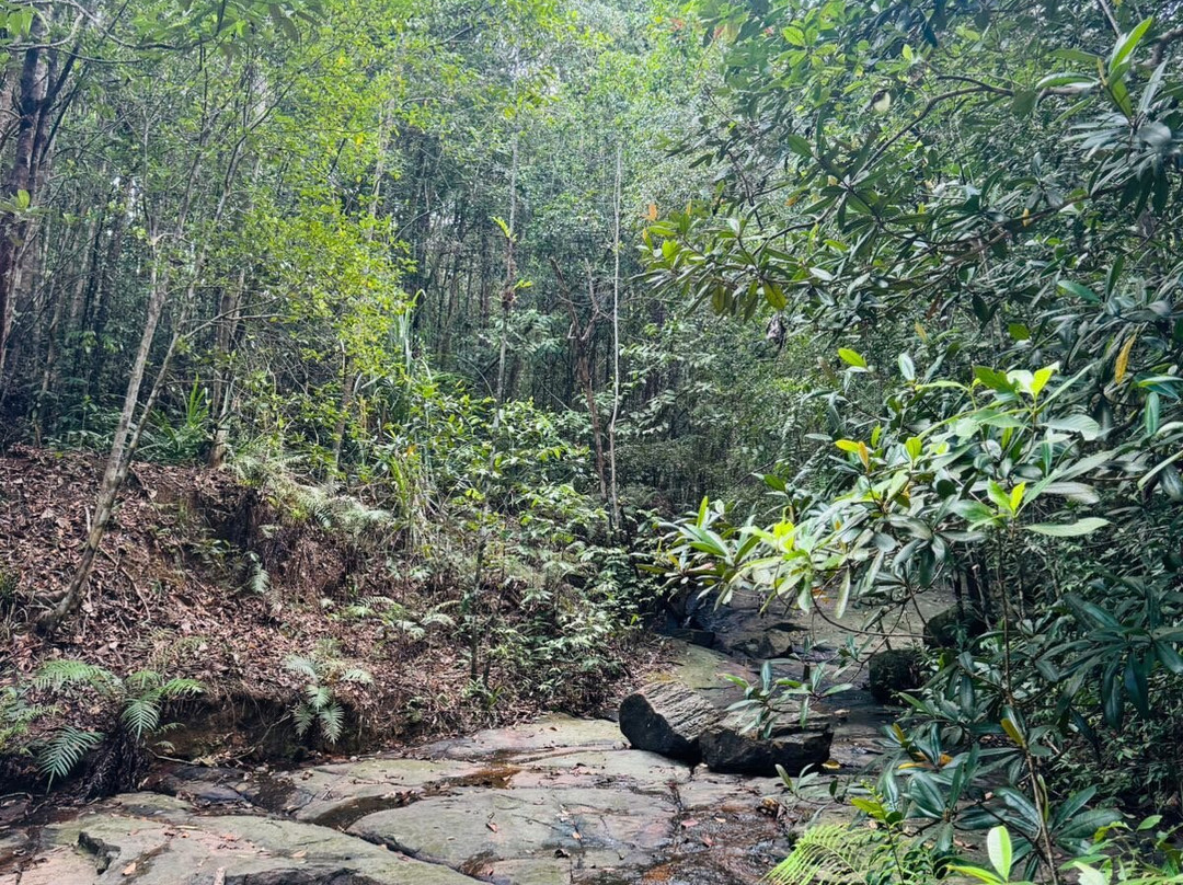 Visit Kanneliya Rain Forest-Koralegama必去景点
