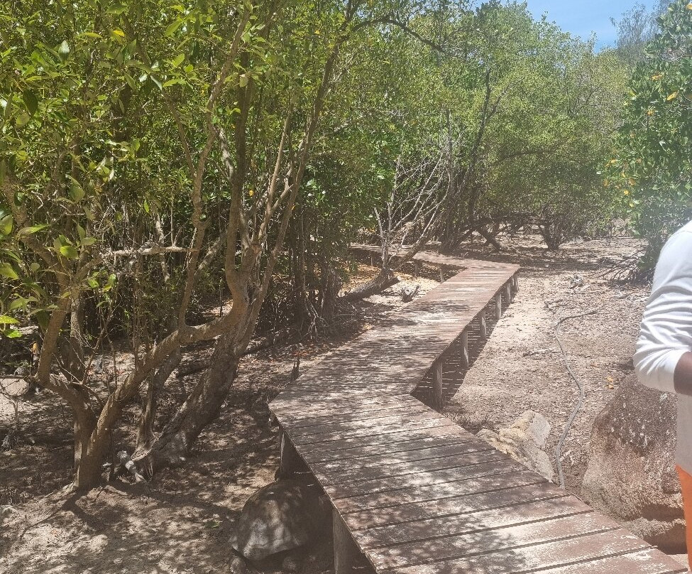 Loyalty Boat Charter-Baie Ste Anne必去景点